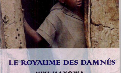 Le royaume des damnés de Niyi Mayowa 
