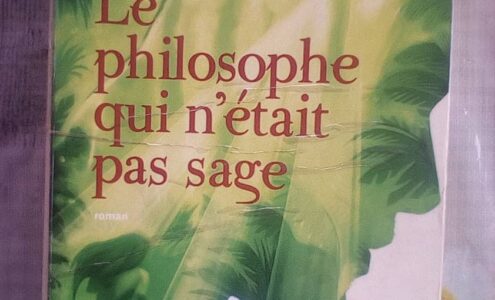 Le philosophe qui n’était pas sage : Laurent Gounelle