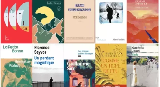 La Première sélection du Prix des Libraires 2025 : Une édition anniversaire et une nouvelle catégorie