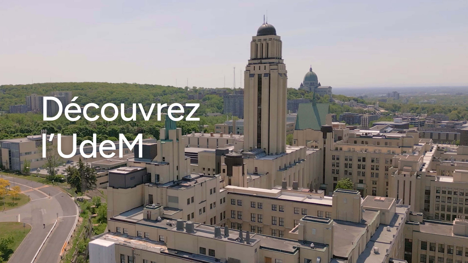 Appel à candidatures : L’Université de Montréal recrute un·e professeur·e adjoint·e en littératures comparées